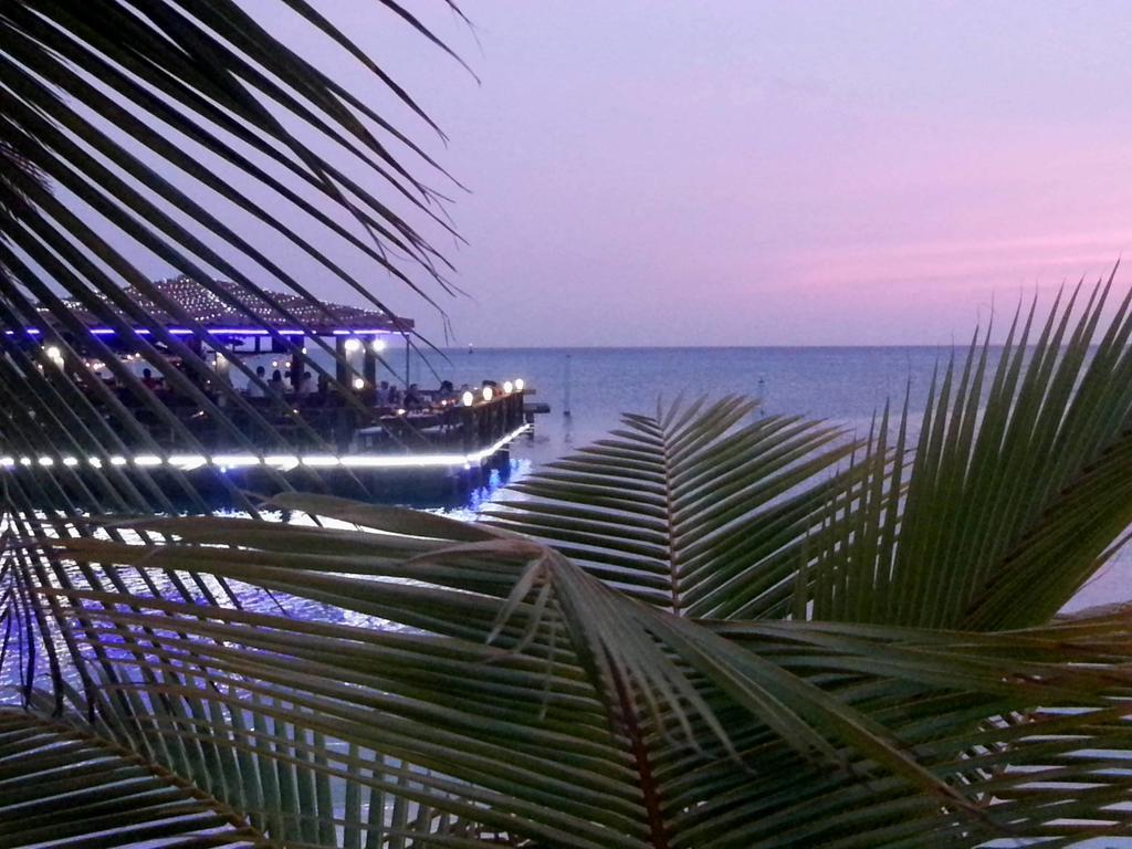 Hotel Aruba Surfside Marina à Oranjestad Extérieur photo
