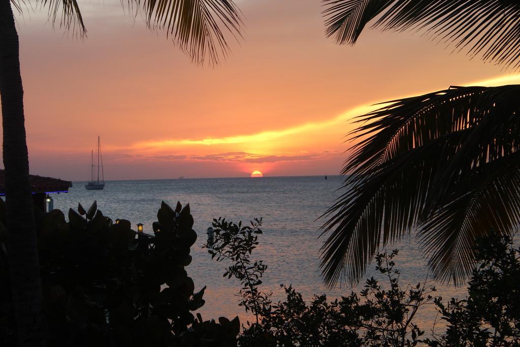 Hotel Aruba Surfside Marina à Oranjestad Extérieur photo