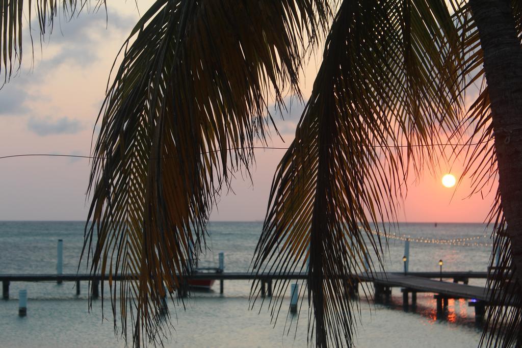 Hotel Aruba Surfside Marina à Oranjestad Extérieur photo